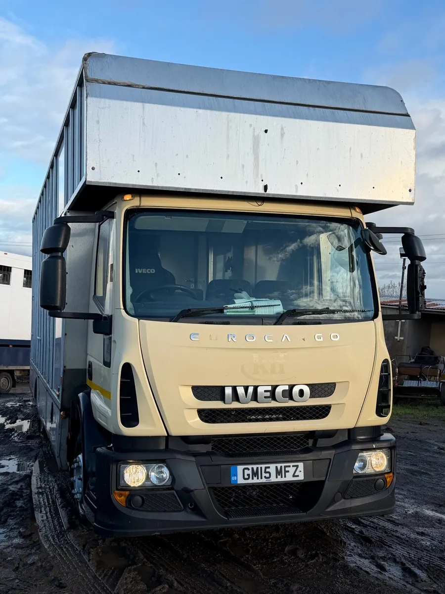 Tri star horsebox - Image 3