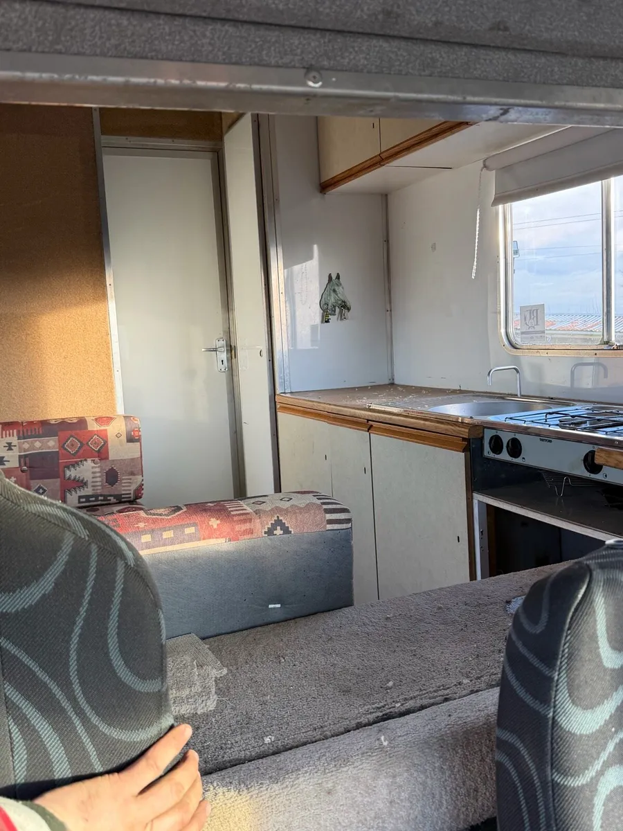 Tri star horsebox - Image 4