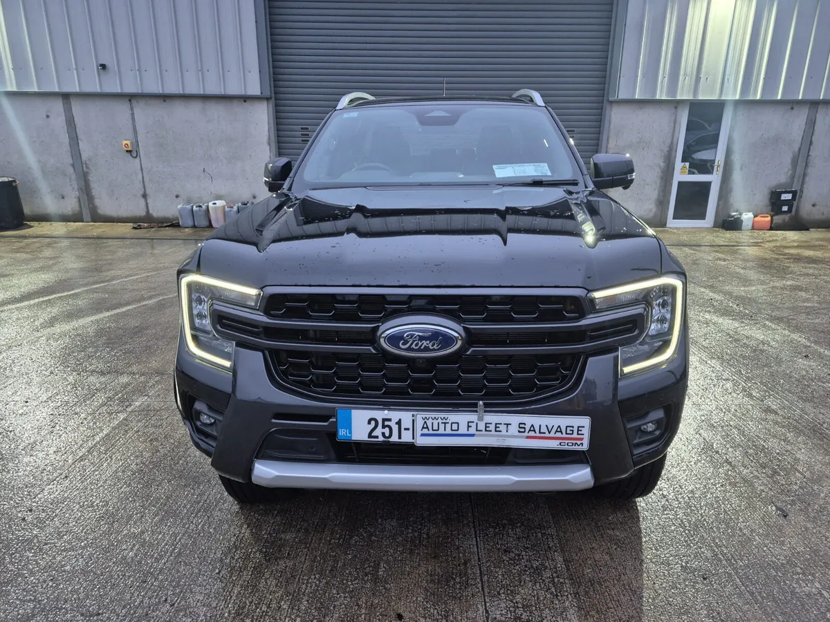 251 FORD RANGER WILDTRAC 2.0 TDCI - Image 2