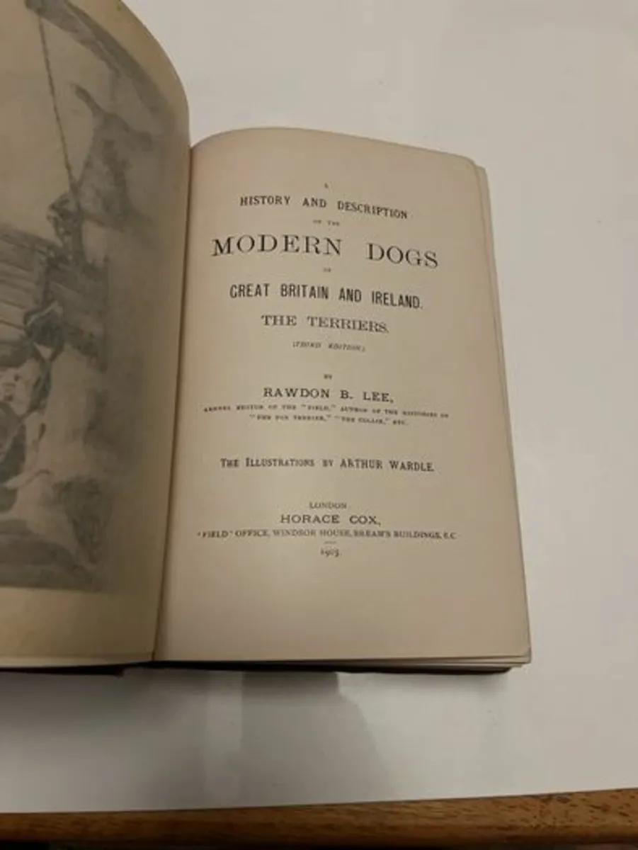 Modern Dogs : Terriers. 1903. Rawdon B.Lee. VG - Image 3