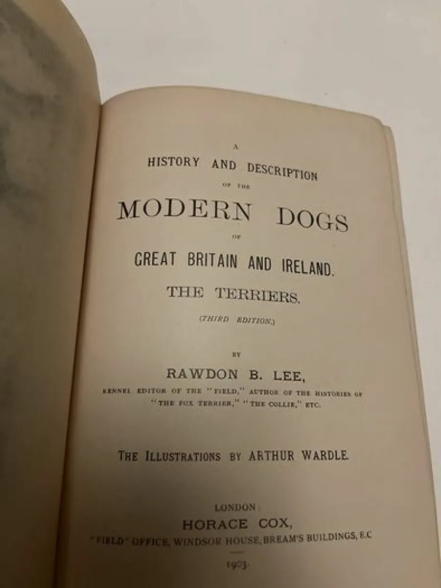 Modern Dogs : Terriers. 1903. Rawdon B.Lee. VG - Image 4