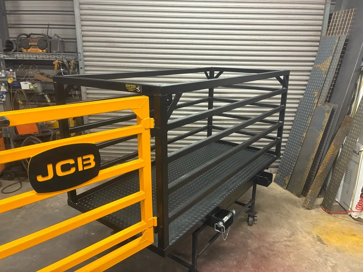 JCB   Basket for forklift - Image 4