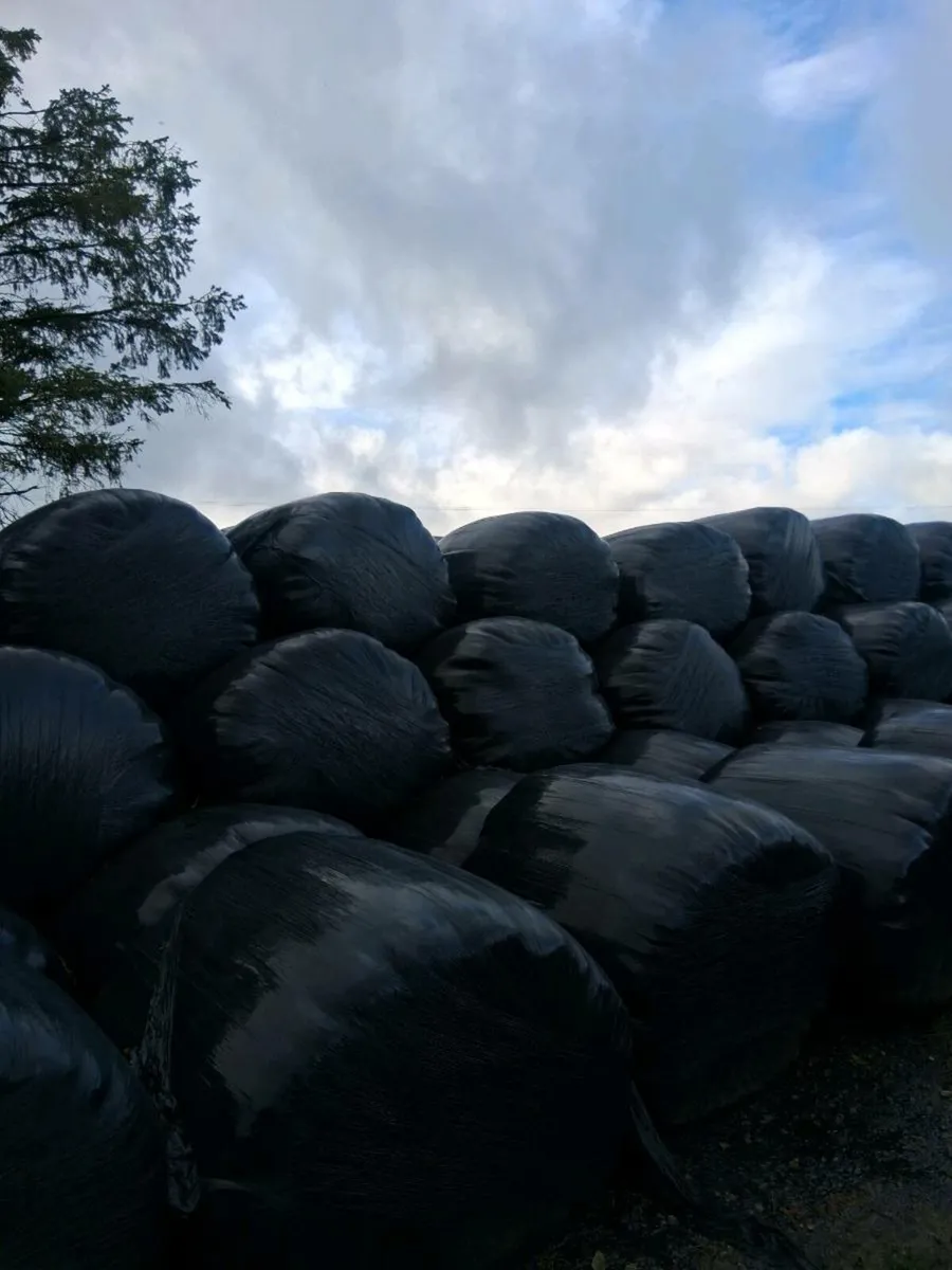 Excellent Silage bales - Image 1