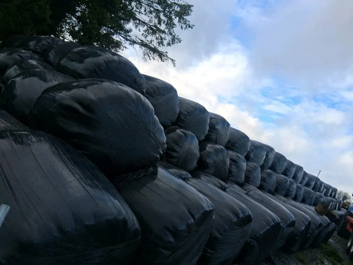 Excellent Silage bales - Image 2
