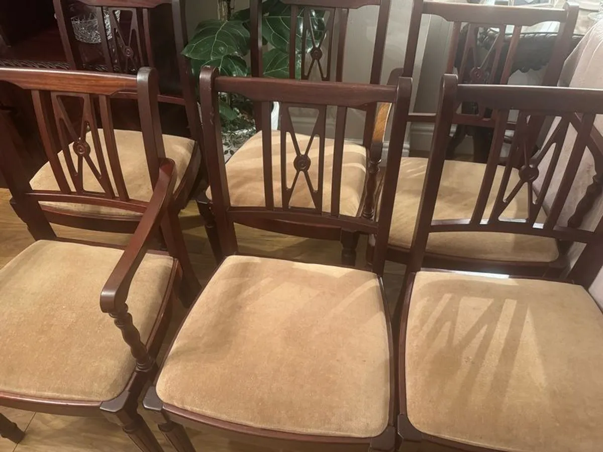 dining chairs - Image 1