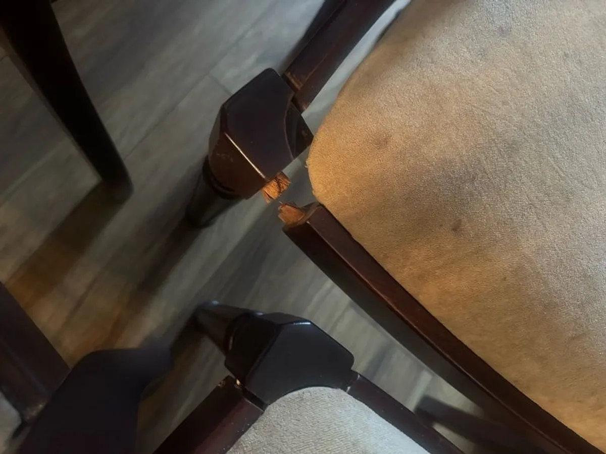 dining chairs - Image 4