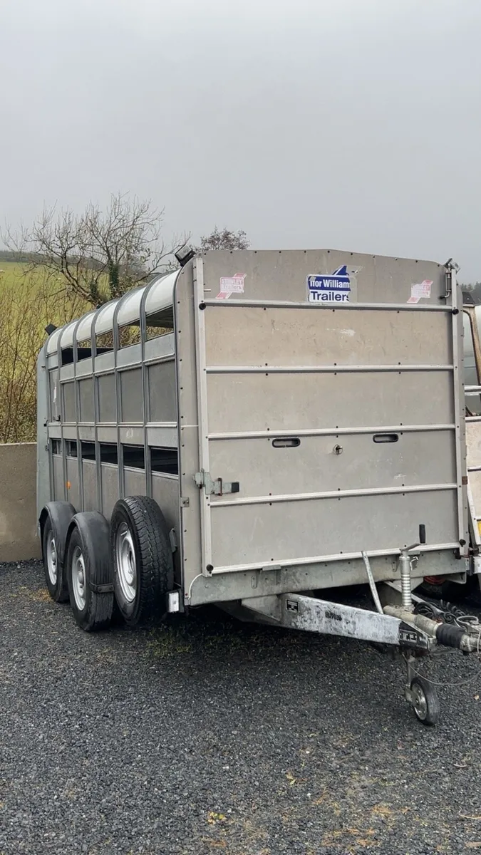 Ifor Williams 12x6 livestock trailer - Image 2