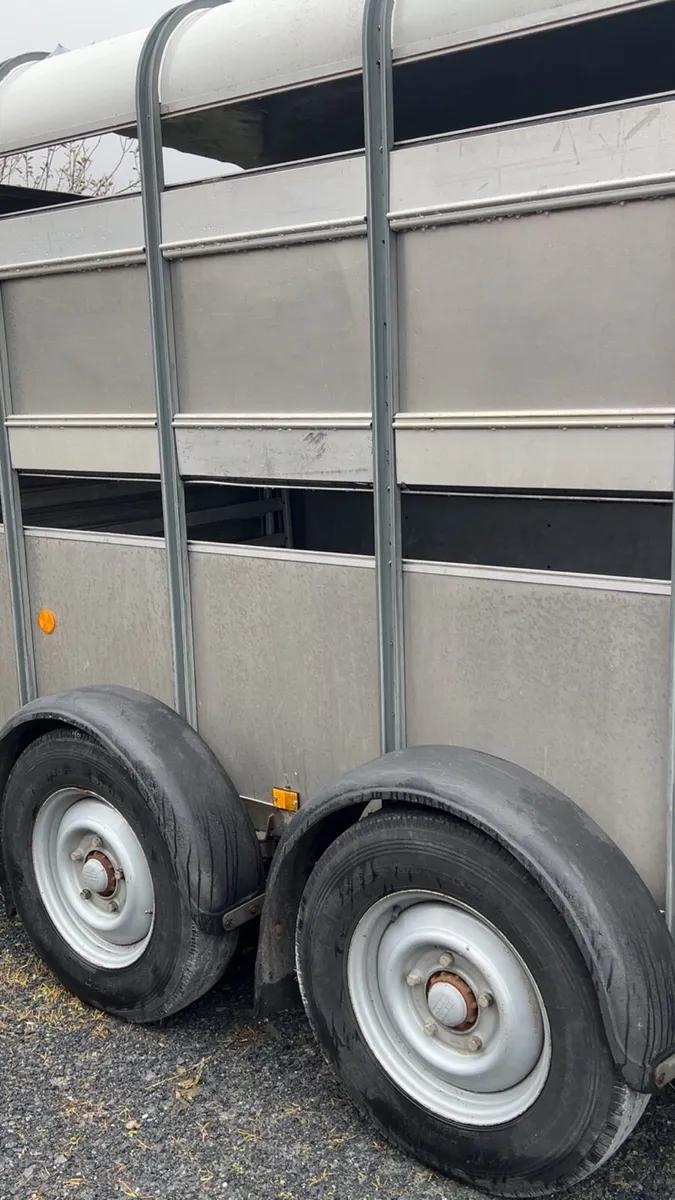 Ifor Williams 12x6 livestock trailer - Image 3