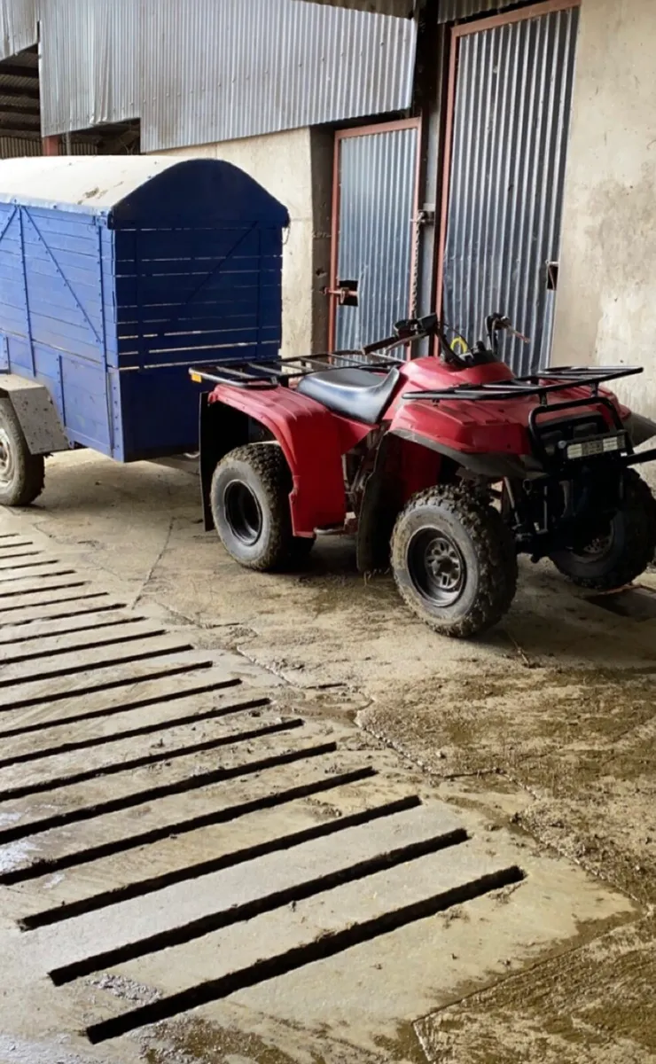 Yamaha Beartracker 250 Quad - Image 2