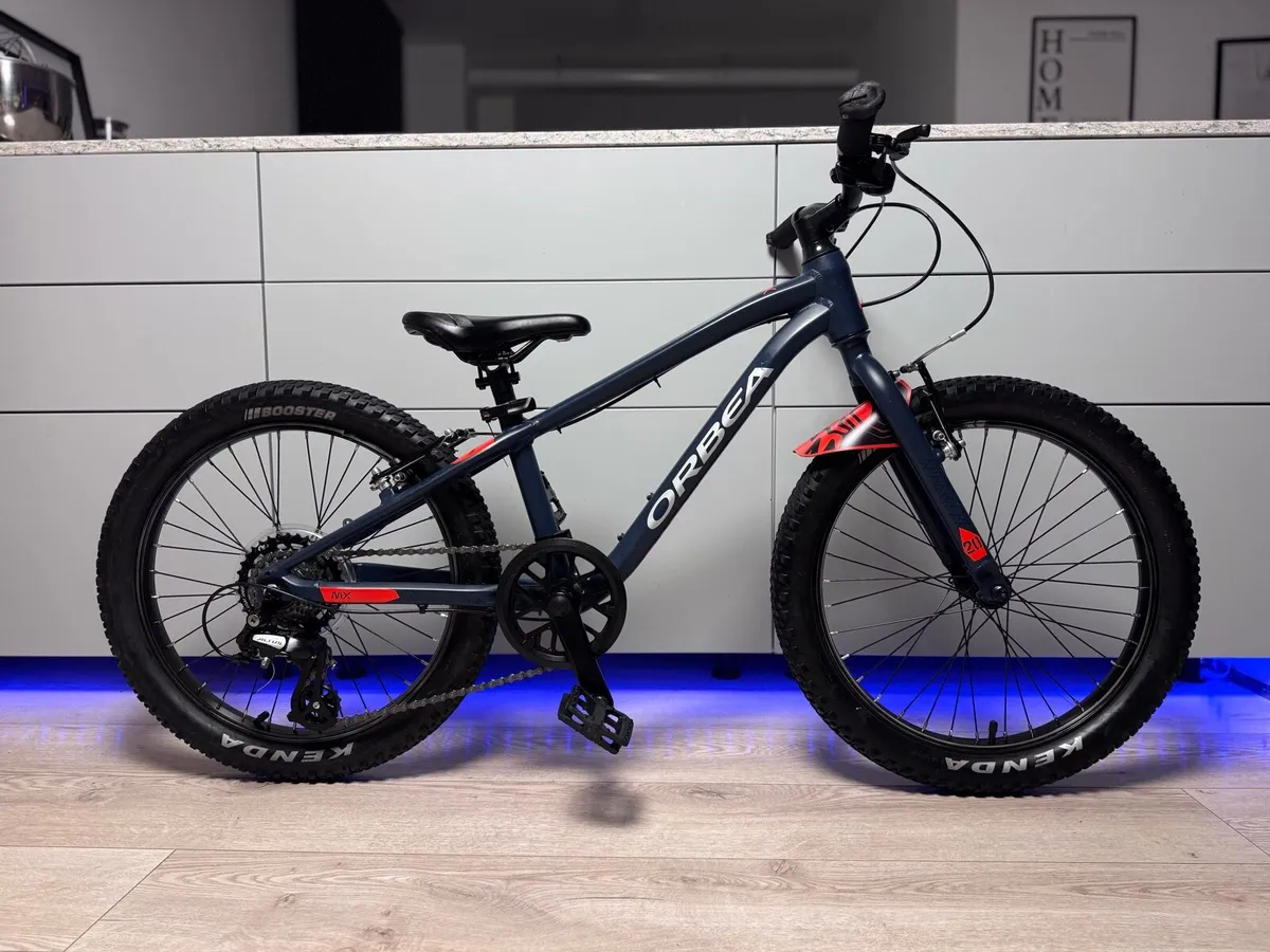 ORBEA MX Dirt Kids Bike 20 inch - Image 1