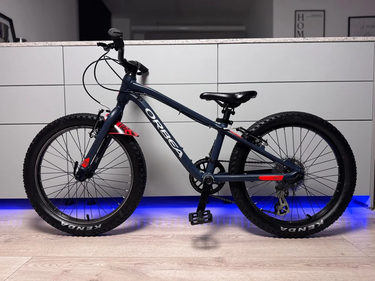 ORBEA MX Dirt Kids Bike 20 inch - Image 2