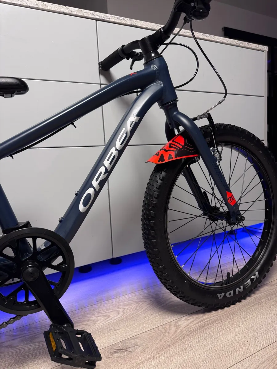 ORBEA MX Dirt Kids Bike 20 inch - Image 3