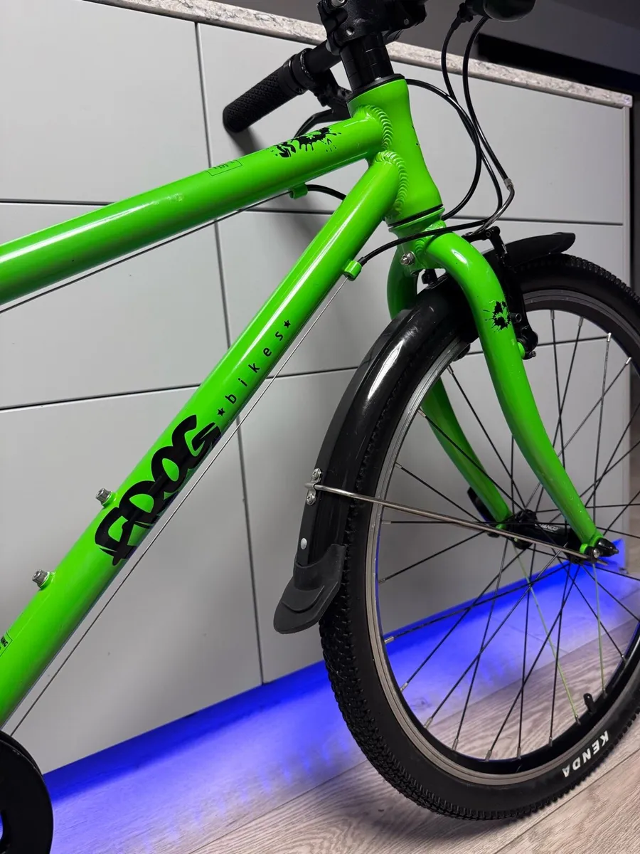 FROG 62 Junior Bike 24 inch - Image 3