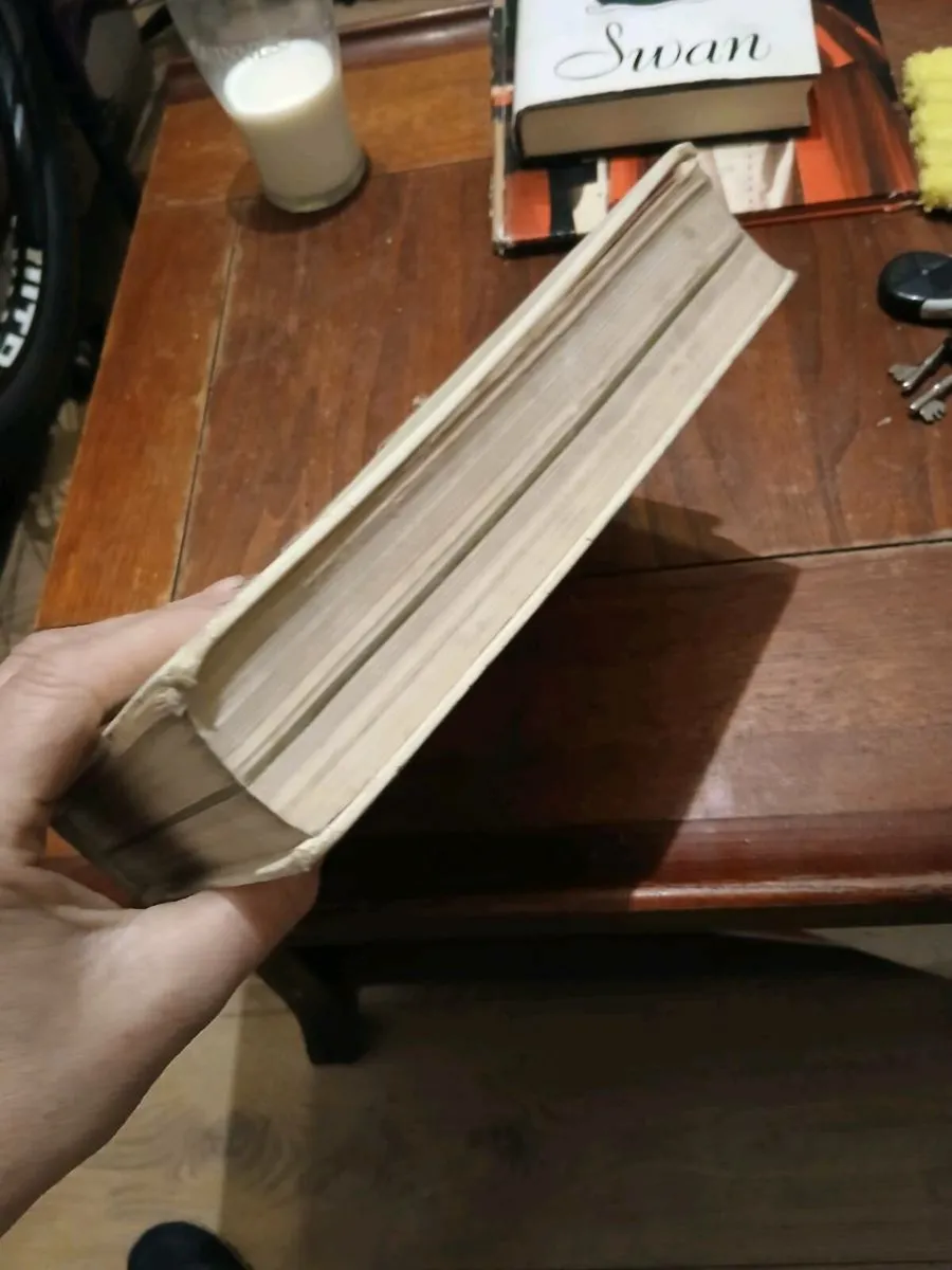 Franklie femmine - Image 2