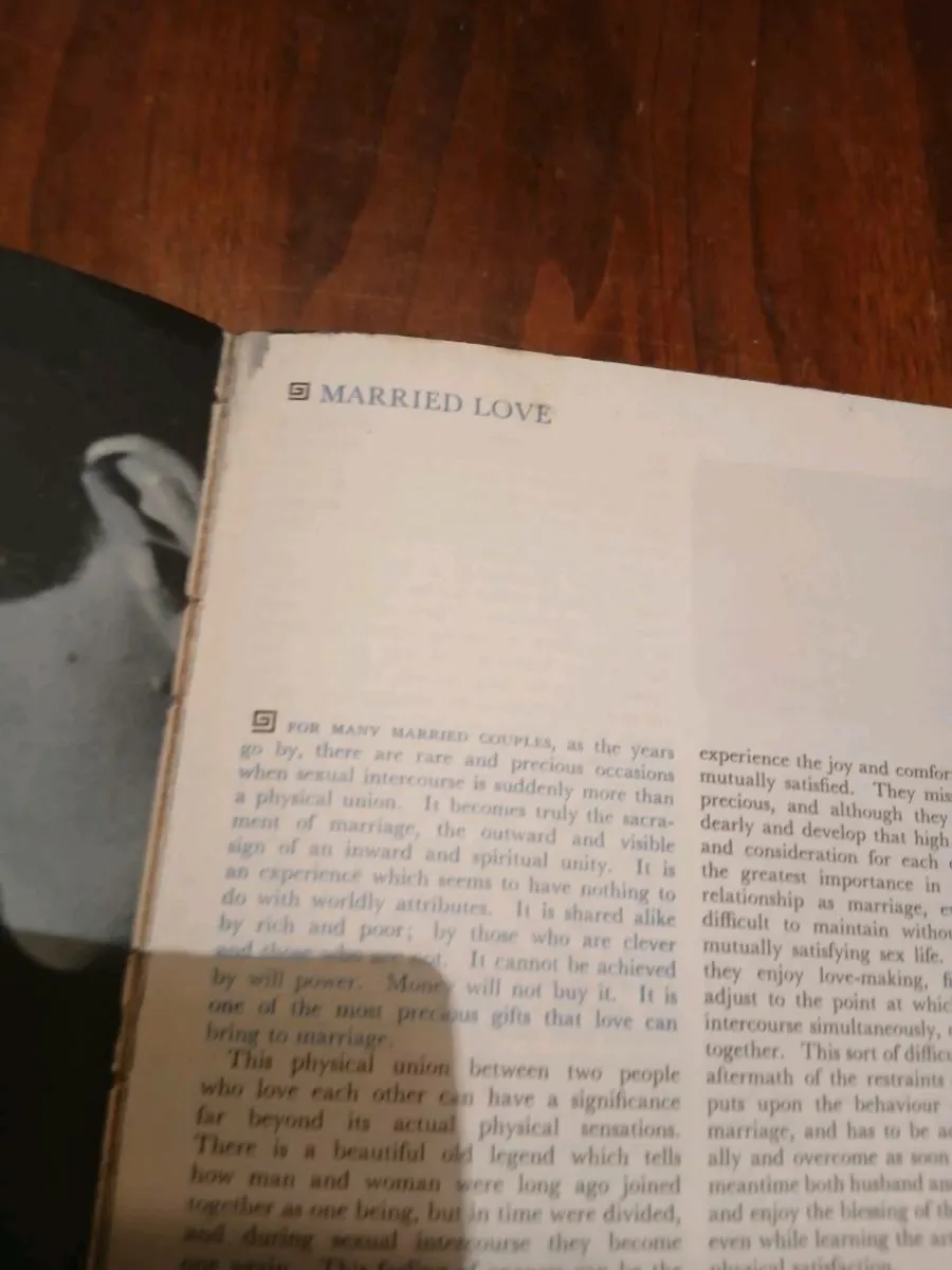 Franklie femmine - Image 3