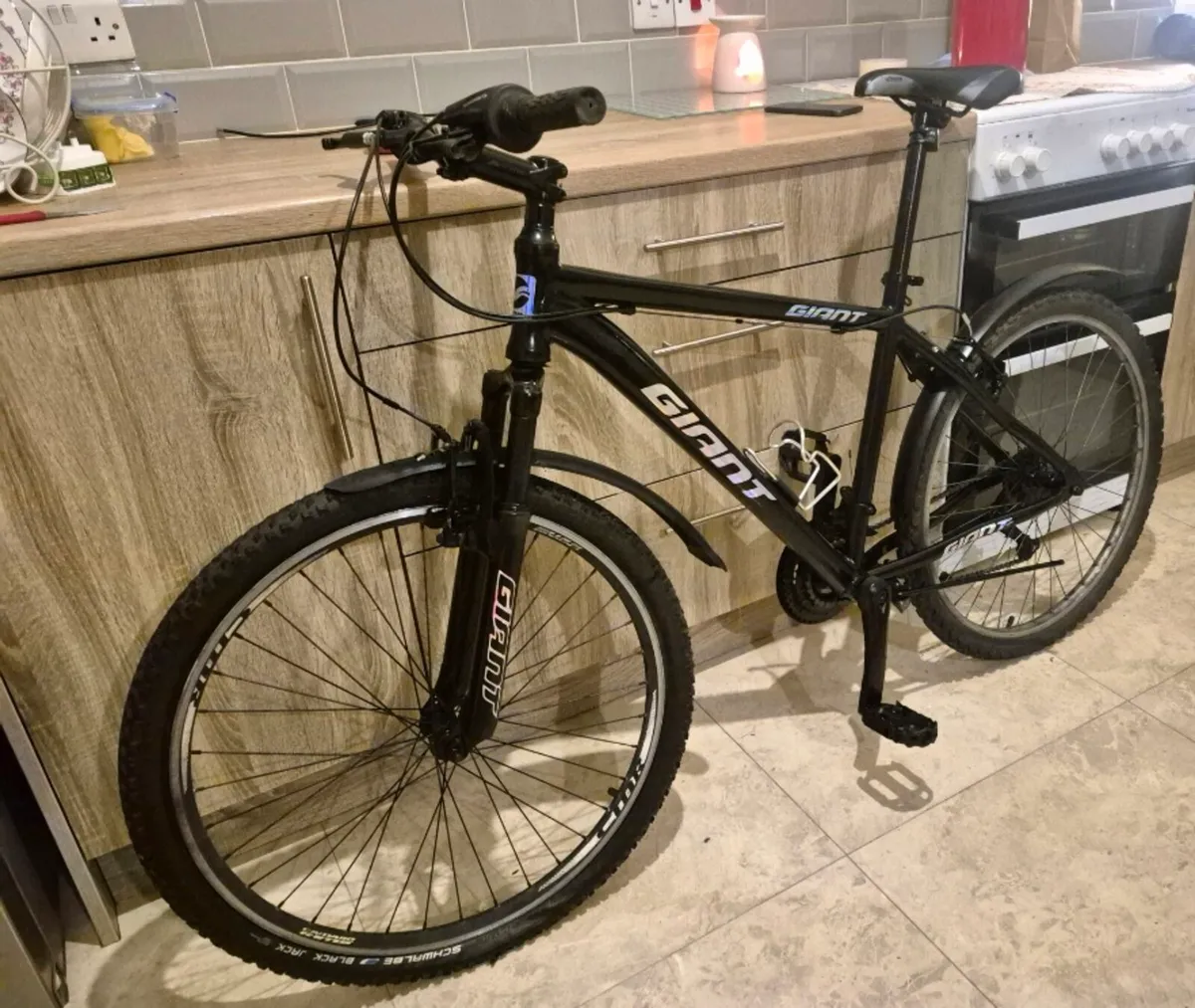 ADULTS GIANT BIKE 20"FRAME FANTASTIC CONDITION GEA - Image 1