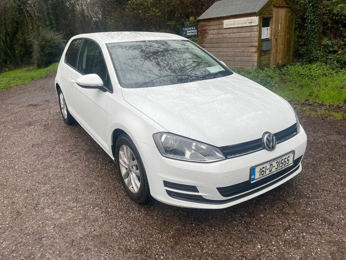 Volkswagen Golf Van 1.6L TDI 2016 - Image 4