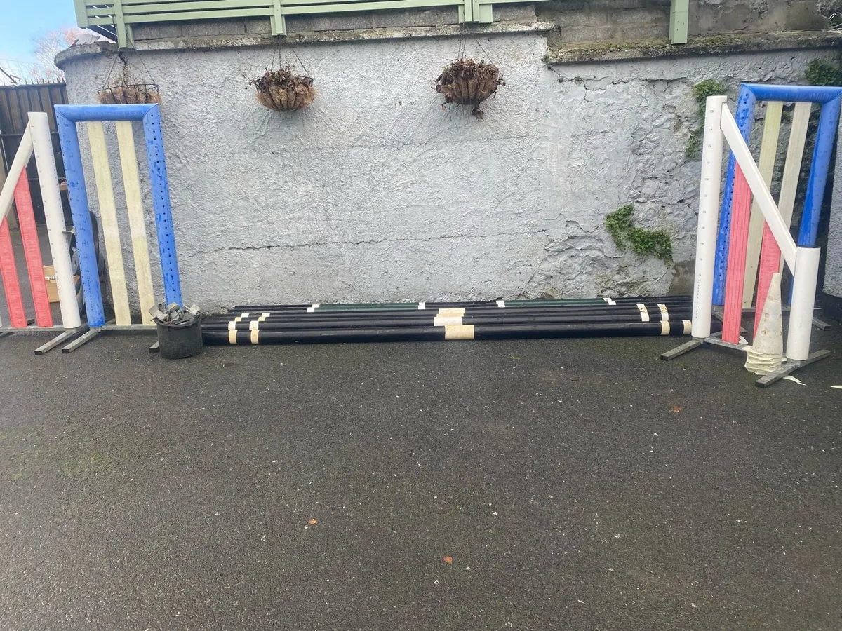 Show jumps - Image 2