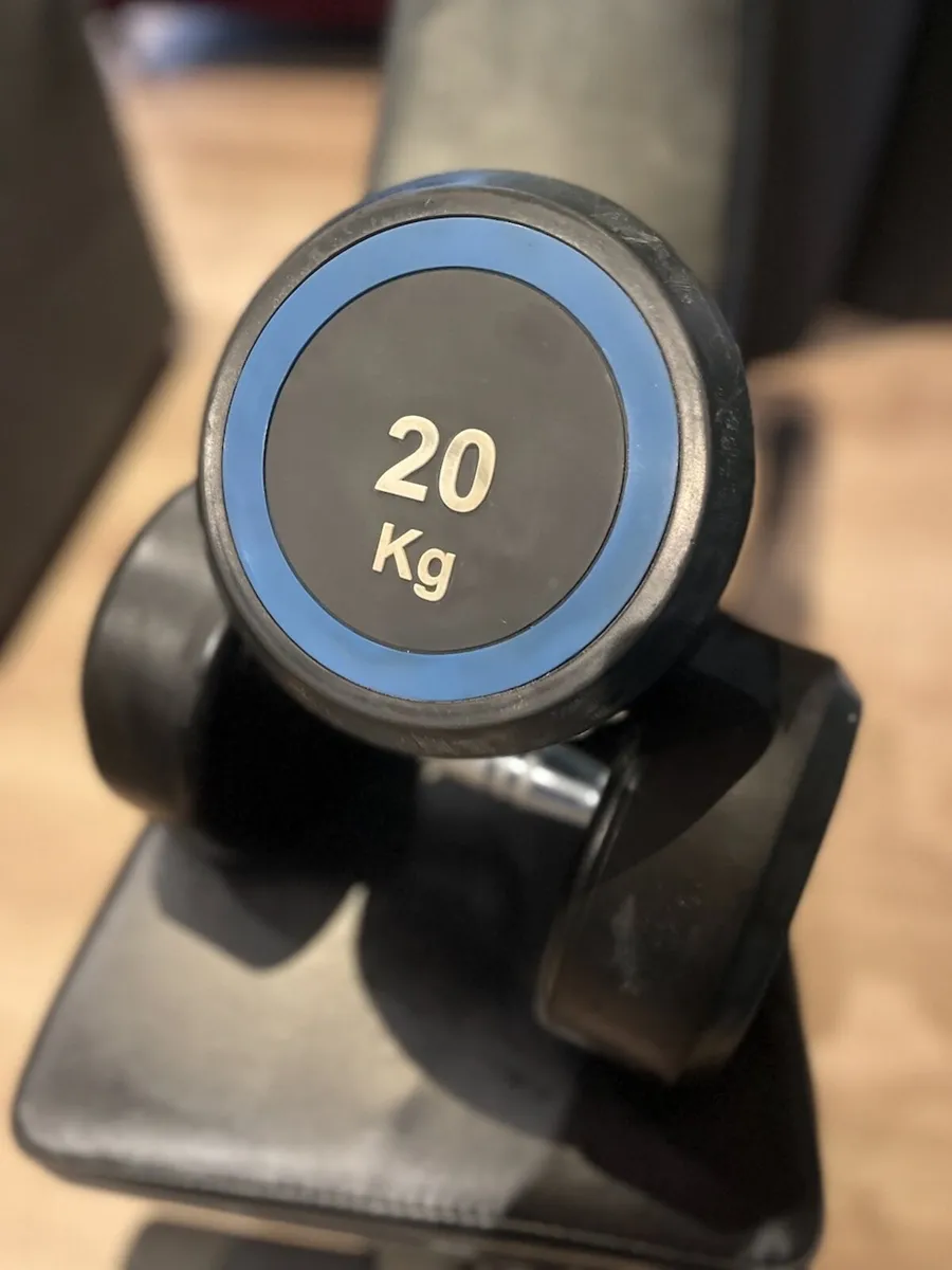 Round Rubber Dumbbells | 20kg