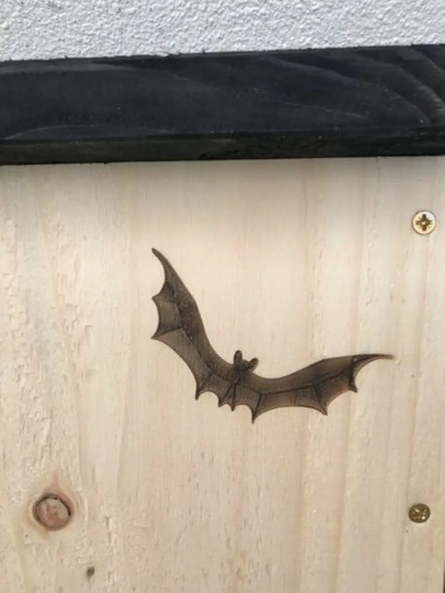 Bat boxes twin openings. Engraved bat motif - Image 3