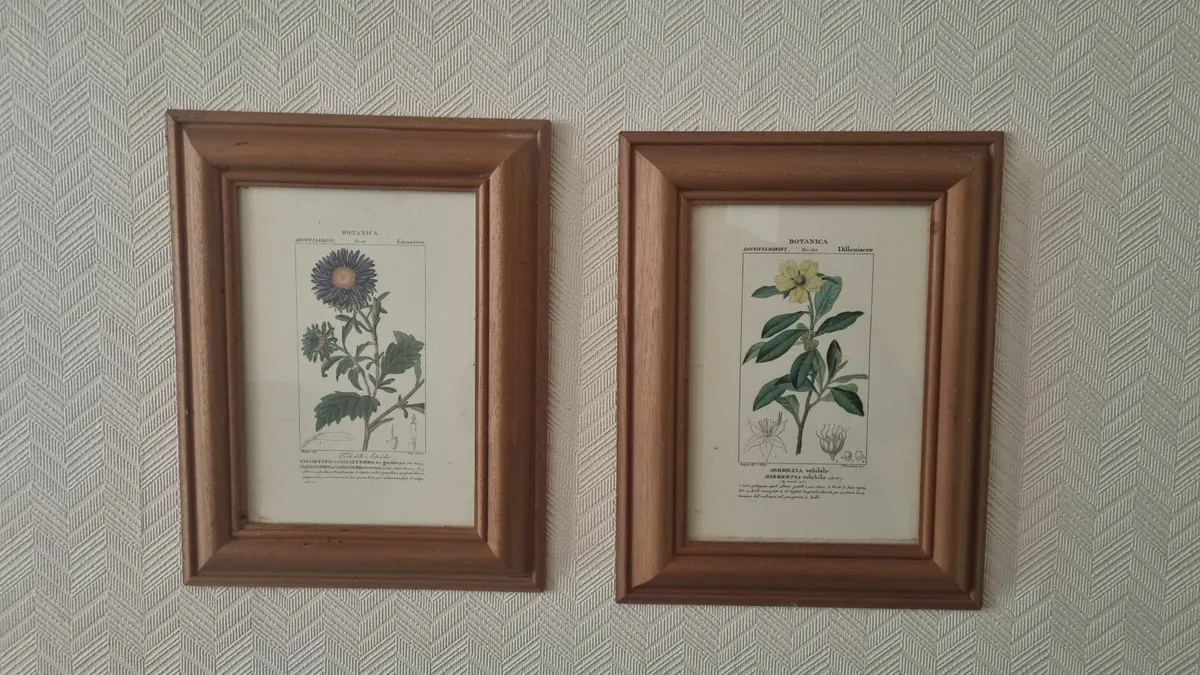 Wood Framed Botanical Prints - Image 1