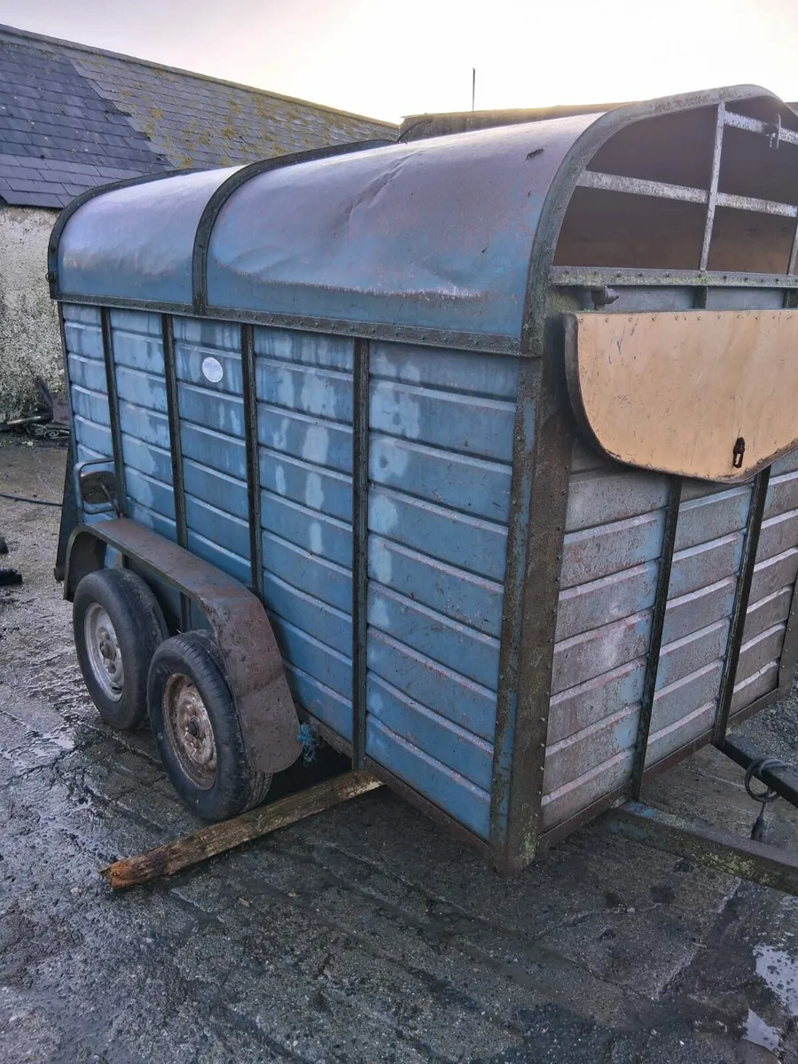 Cattle trailer/ Horse box - Image 1