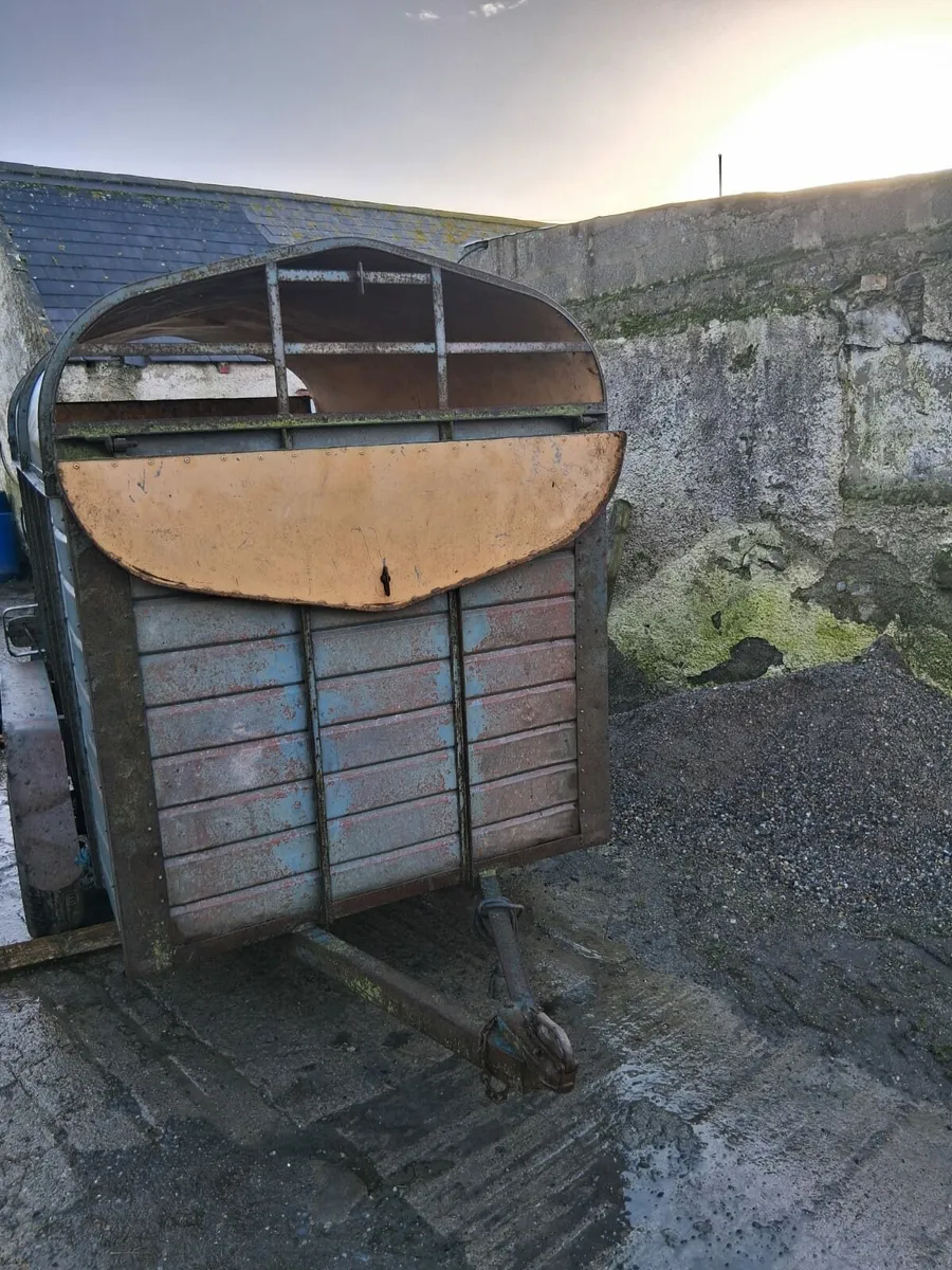Cattle trailer/ Horse box - Image 2