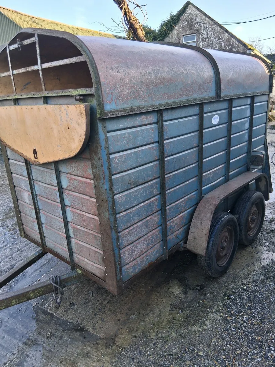 Cattle trailer/ Horse box - Image 3