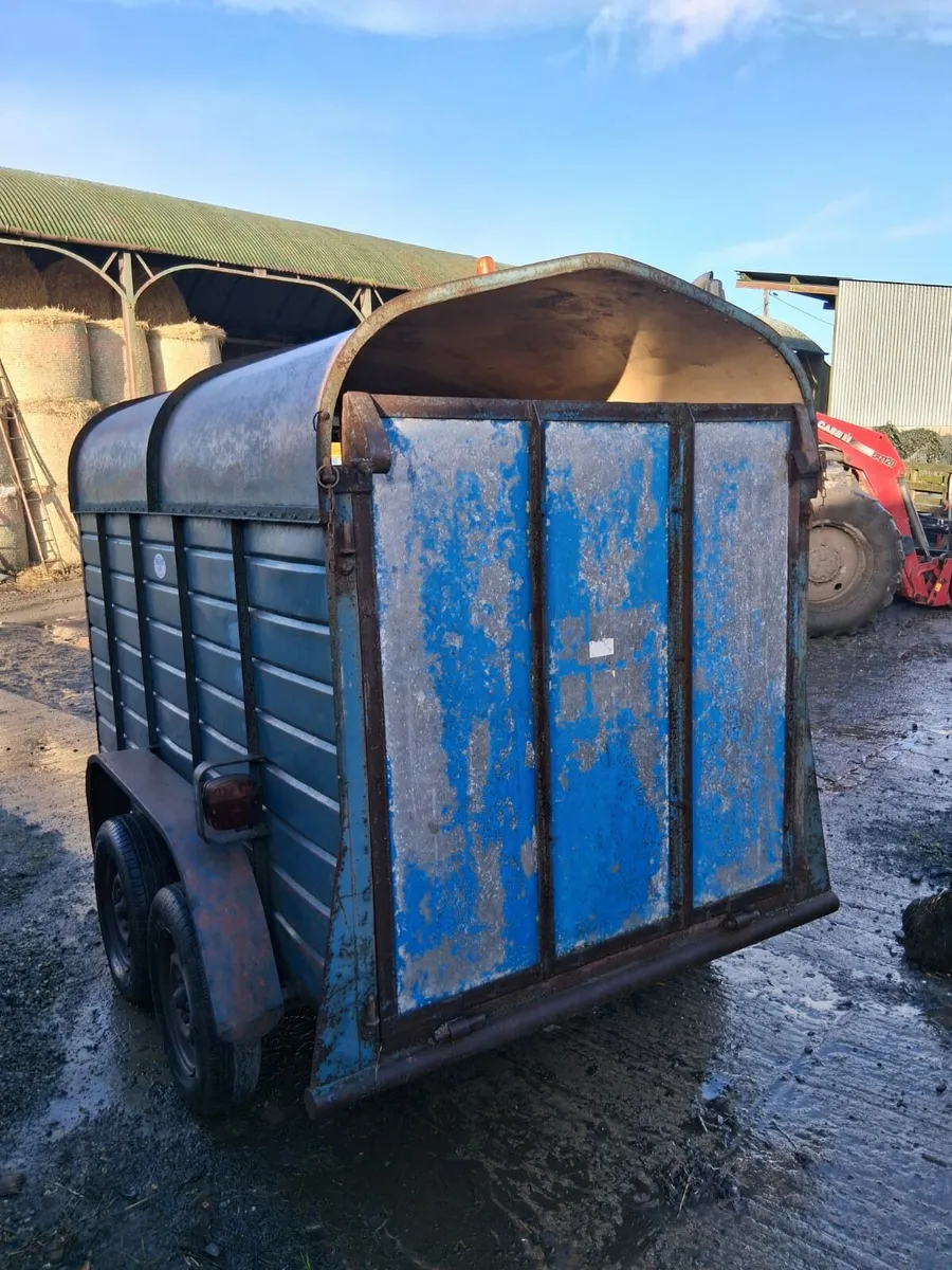 Cattle trailer/ Horse box - Image 4