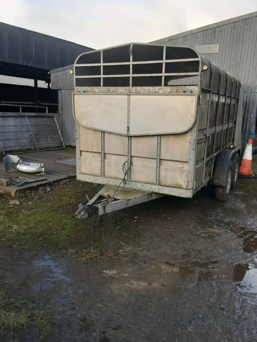 Murphy Cattle Trailer - Image 1