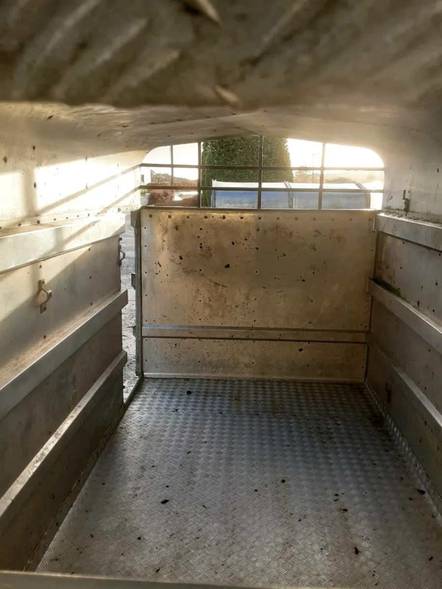 Murphy Cattle Trailer - Image 3