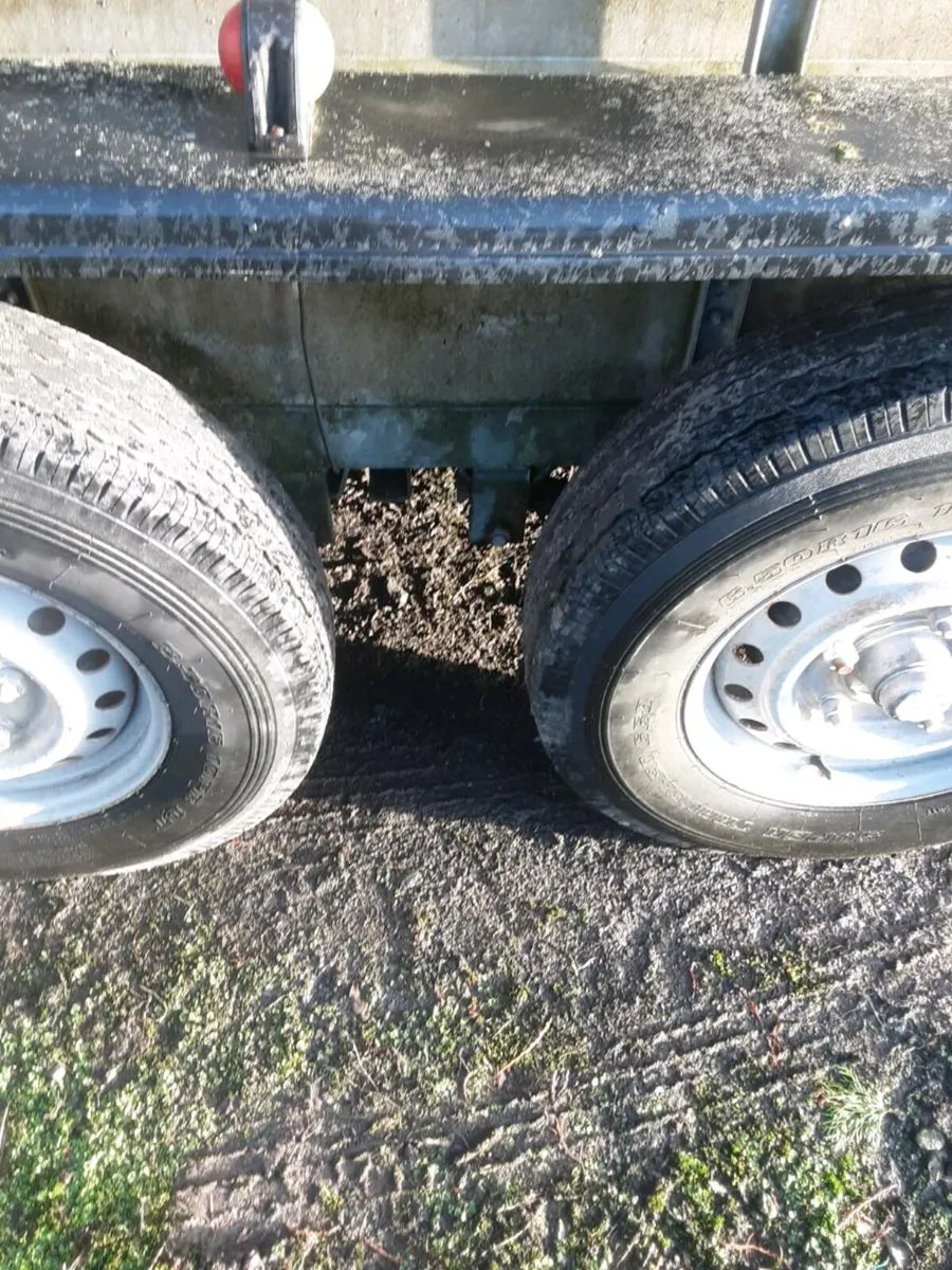 Murphy Cattle Trailer - Image 4