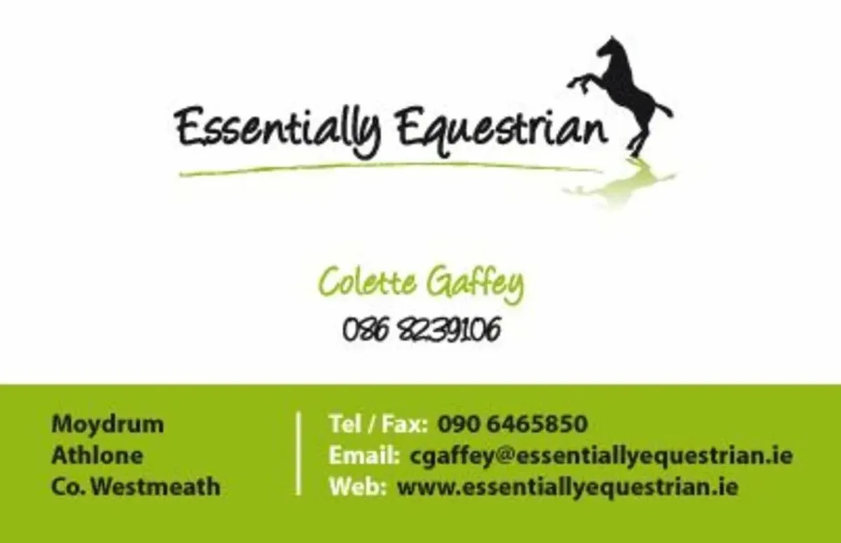 Winter Rugs- Detachable Neck - Image 3