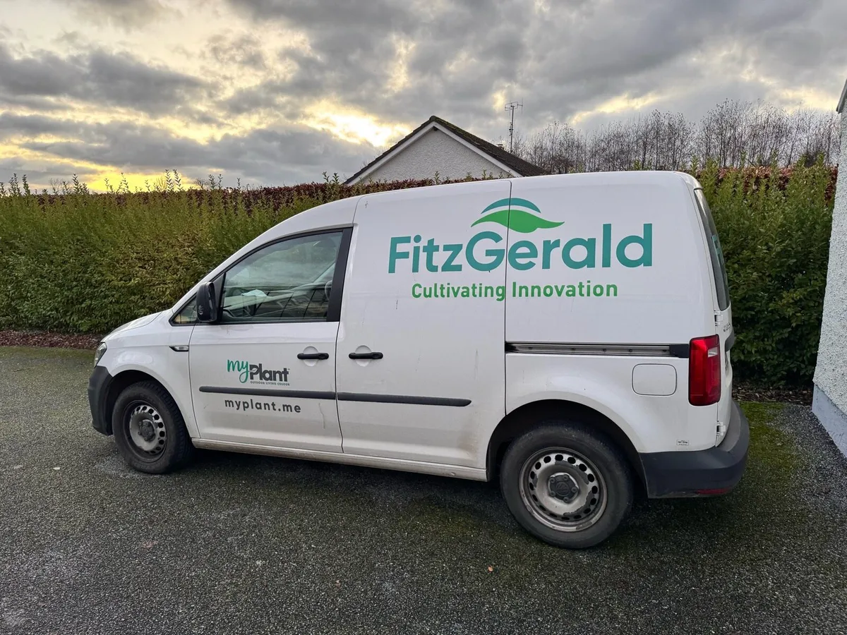 Volkswagon Caddy Van - Image 3