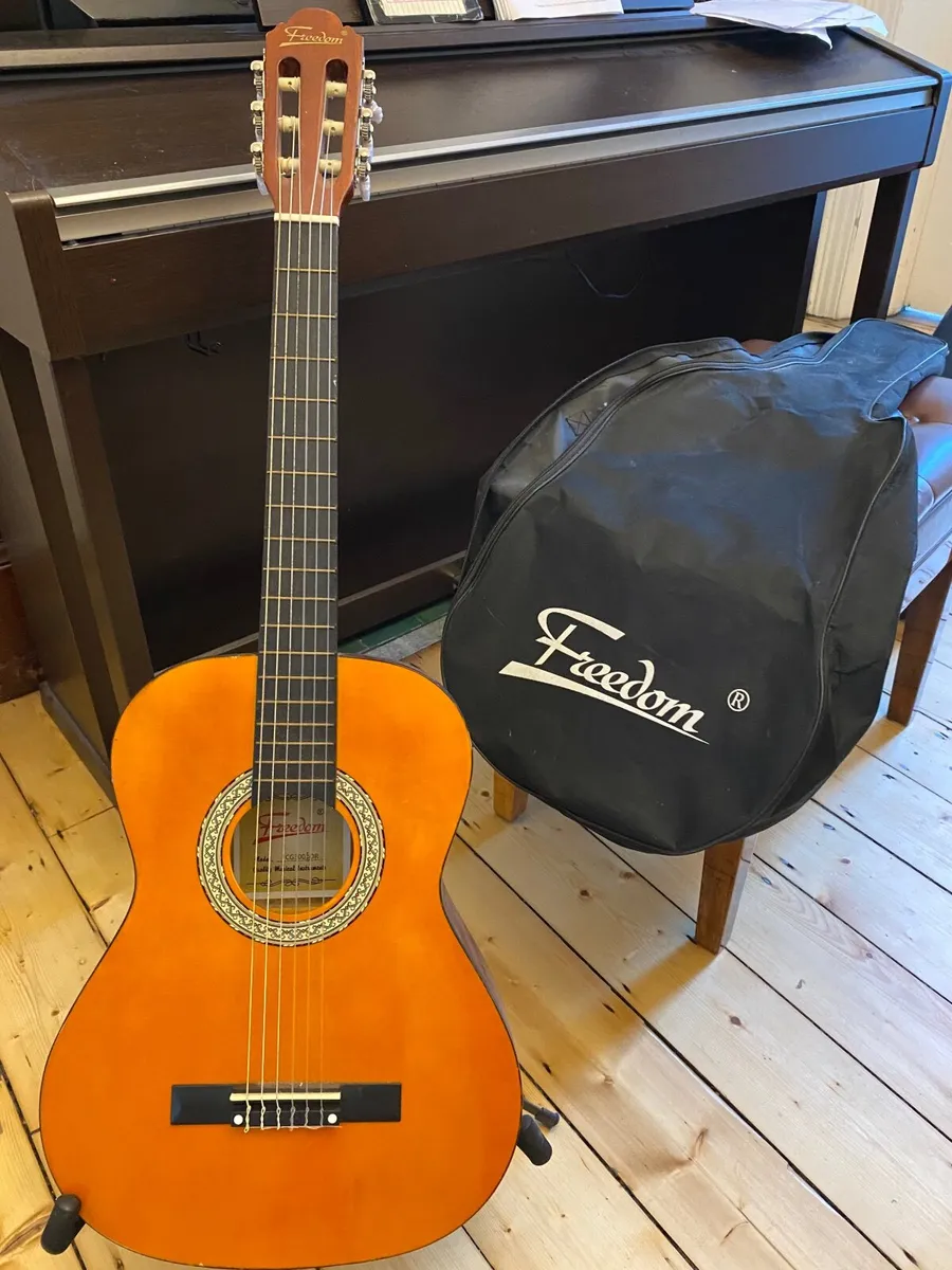 Beginner Guitar - Image 1