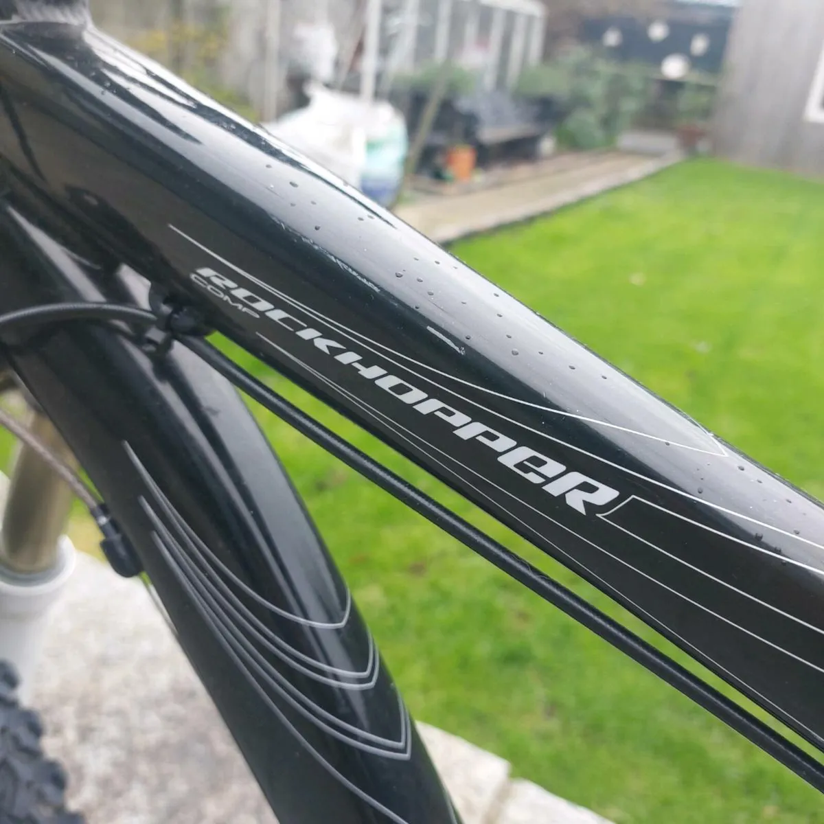 Specialized rockhopper - Image 4