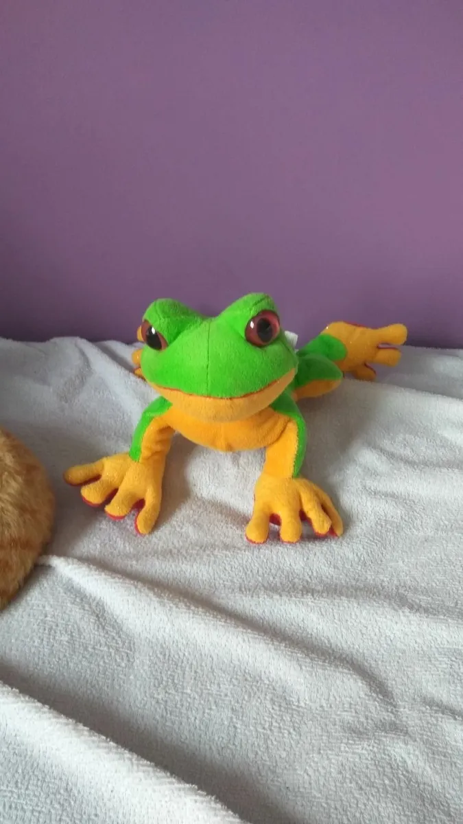 frog plush toy nearly new - Image 2