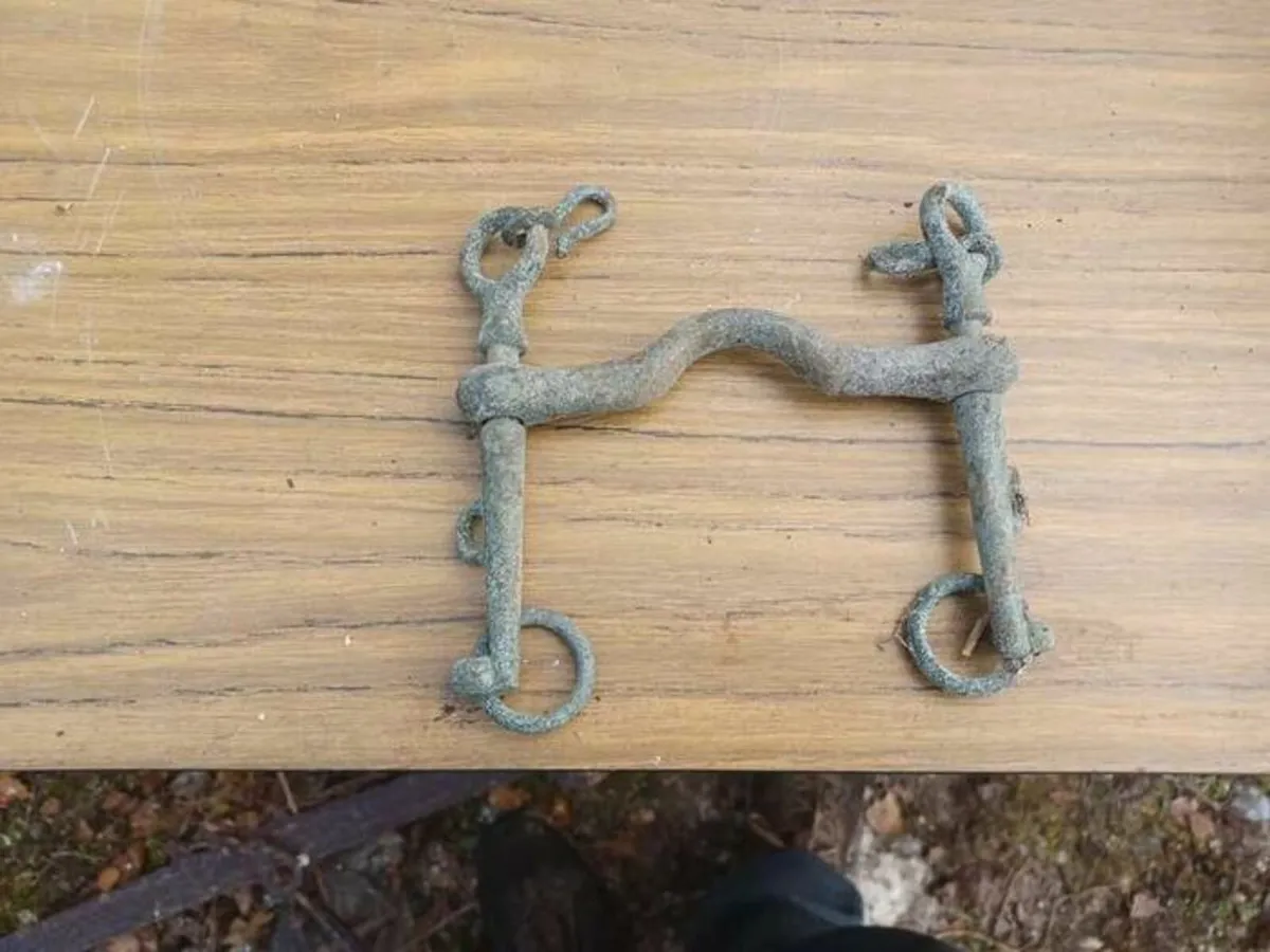 Antique donkey or horse bit postage cost incl