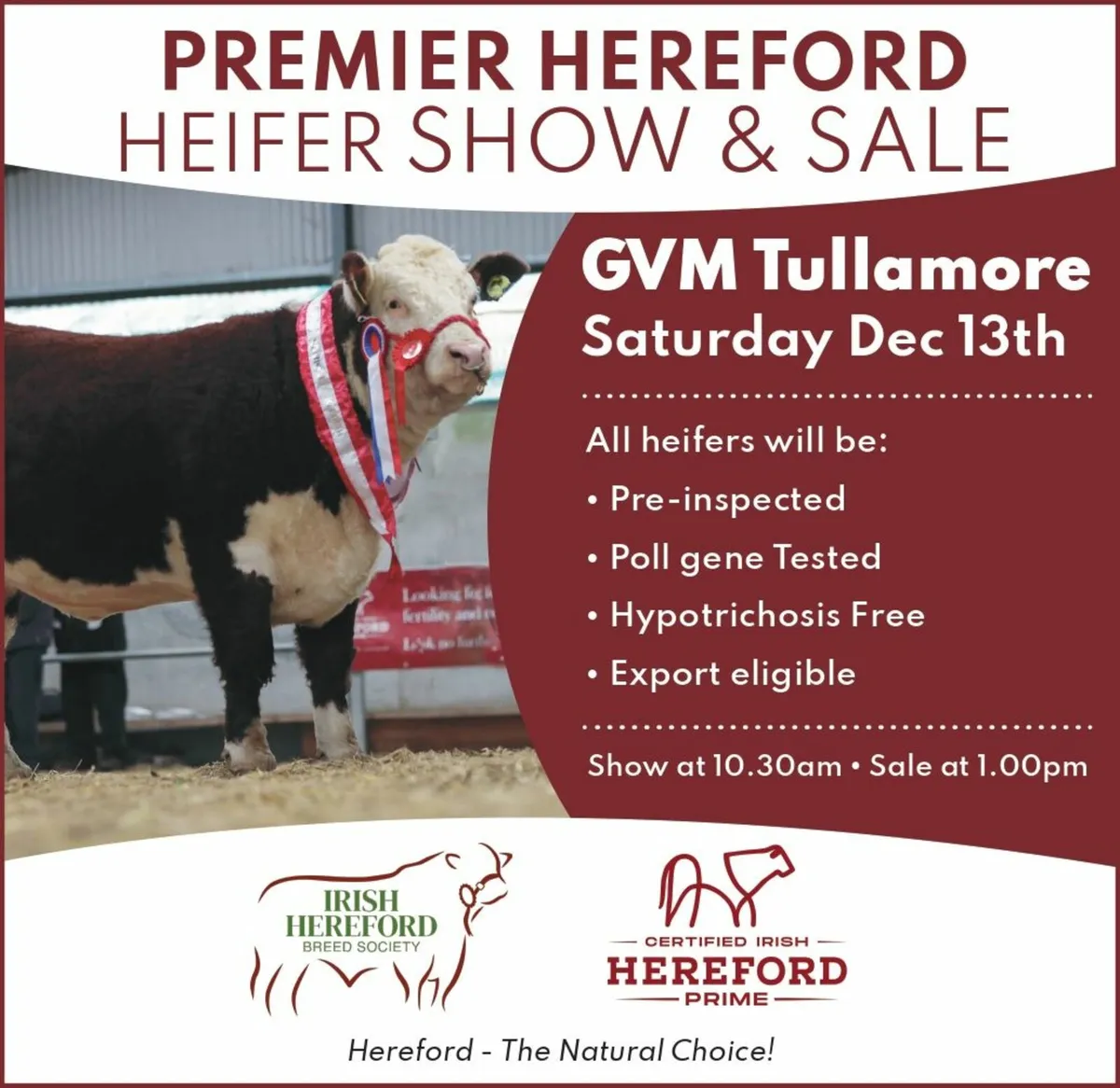 HEREFORD PREMIER HEIFER SHOW & SALE - Image 1