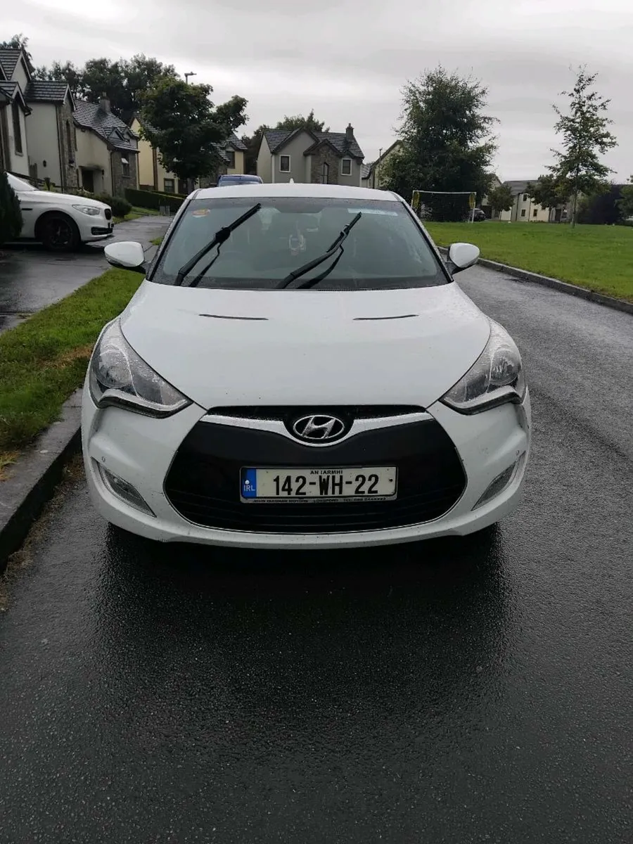 Hyundia velestor - Image 2