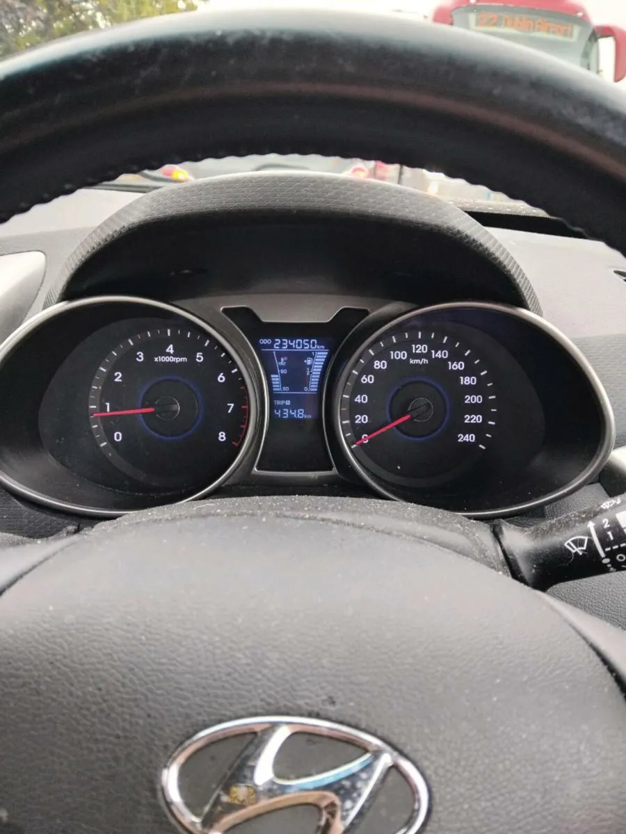 Hyundia velestor - Image 4