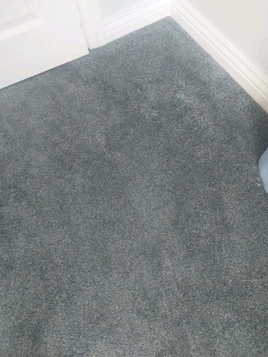 Roll of carpet - Image 1