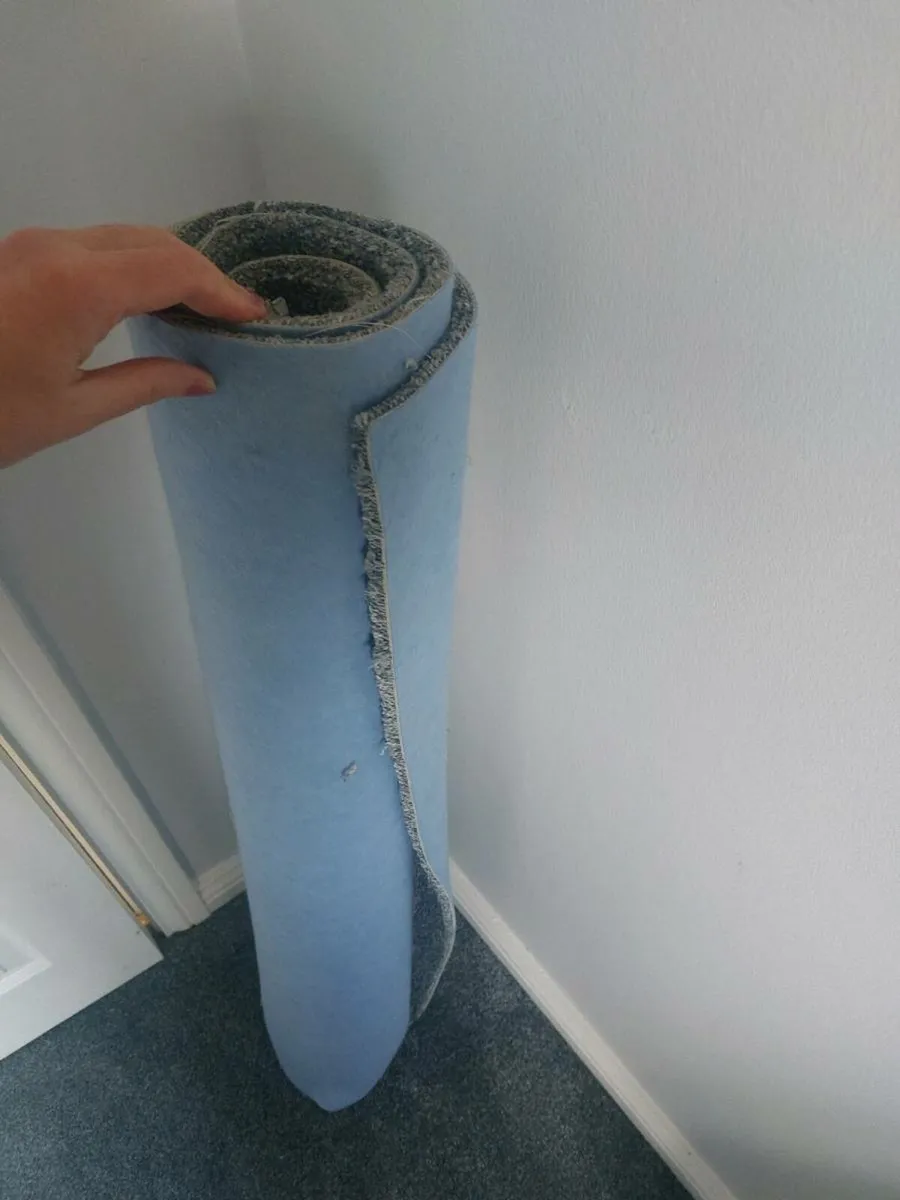 Roll of carpet - Image 2