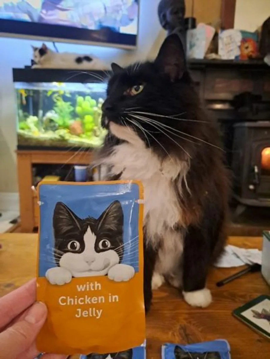 Box of 80 pouches of cat food - Image 4