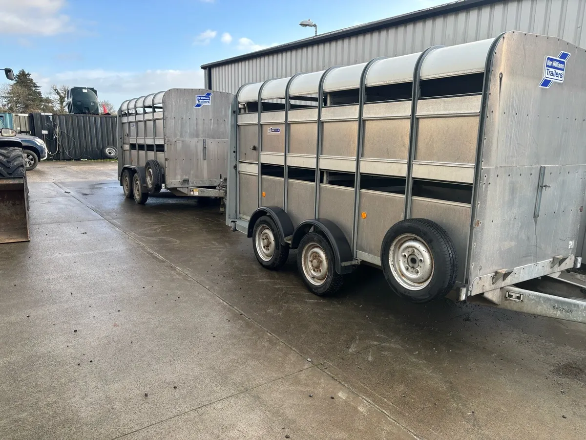 10x5 and 12x5 IW trailers with decks - Image 1