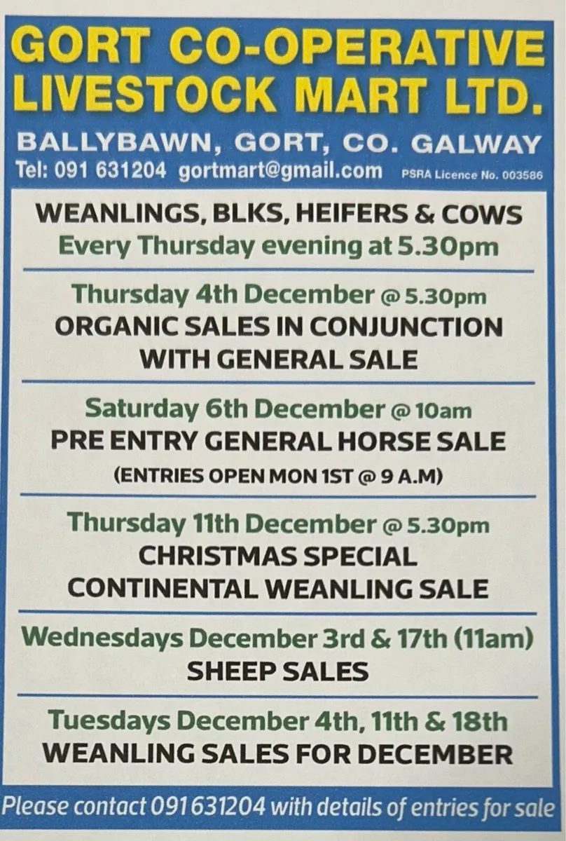Gort Mart: Pre entry Horse sale : Sat 6th Dec - Image 4