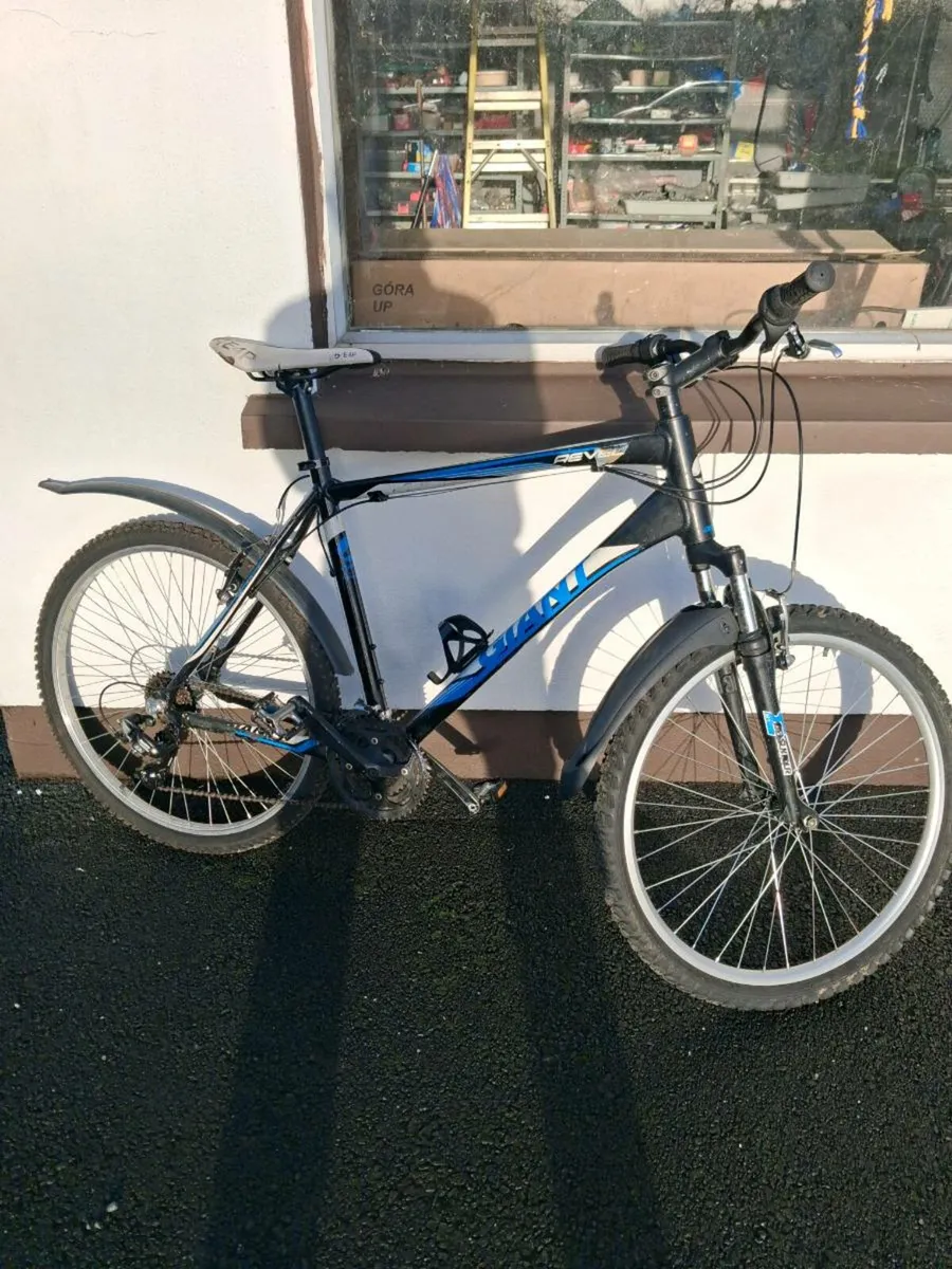 Gents bike - Image 2