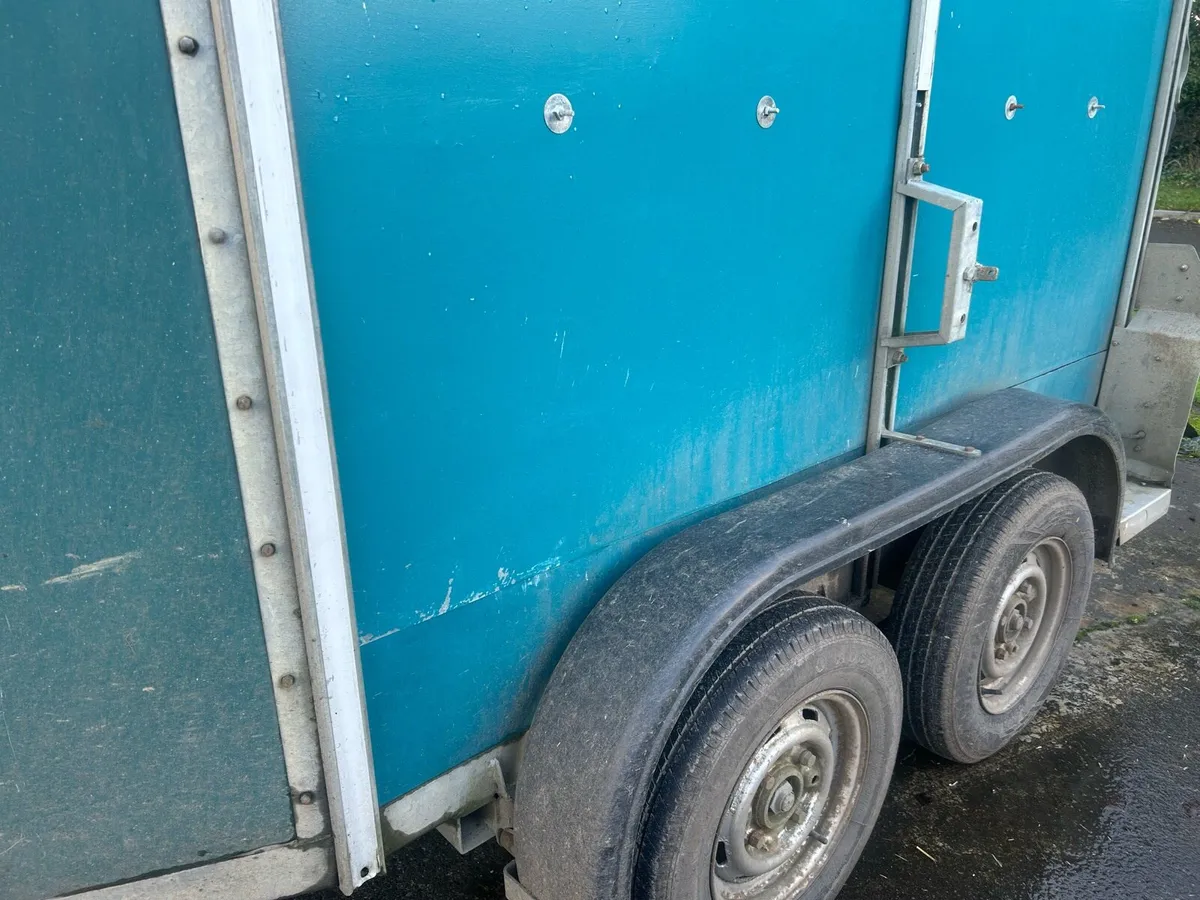 505 horse box - Image 4