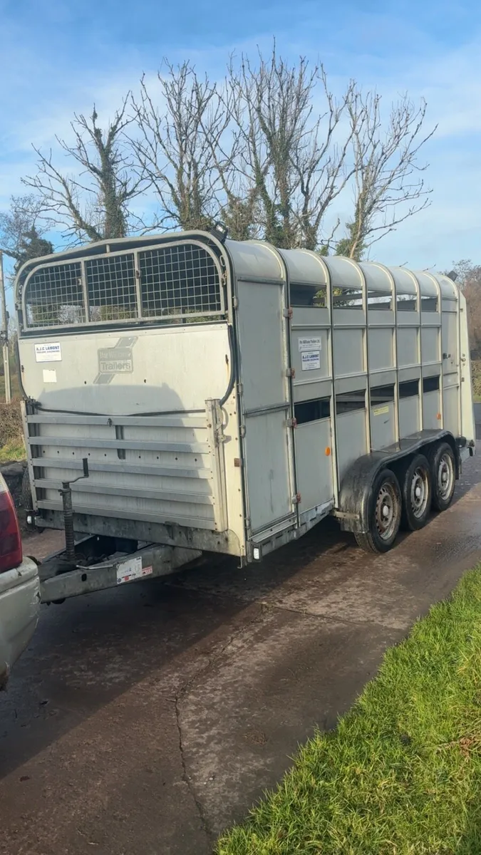 Ifor Williams cattle / sheep trailer - Image 1