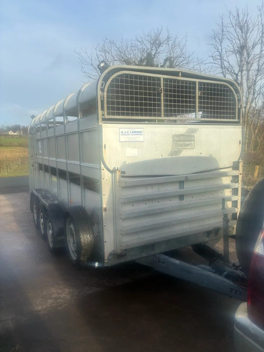 Ifor Williams cattle / sheep trailer - Image 2
